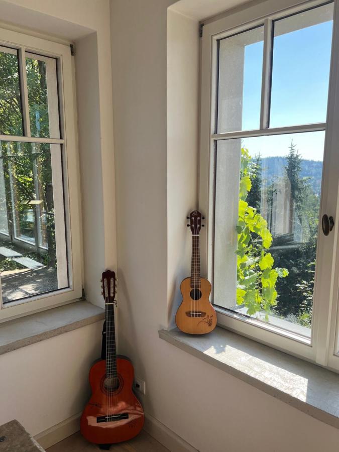 Vila Bellevue Jablonec nad Nisou Dış mekan fotoğraf