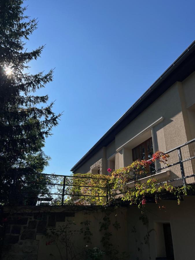 Vila Bellevue Jablonec nad Nisou Dış mekan fotoğraf